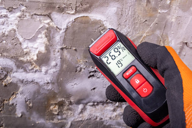 Best Bathroom Mold Remediation in Ecorse, MI